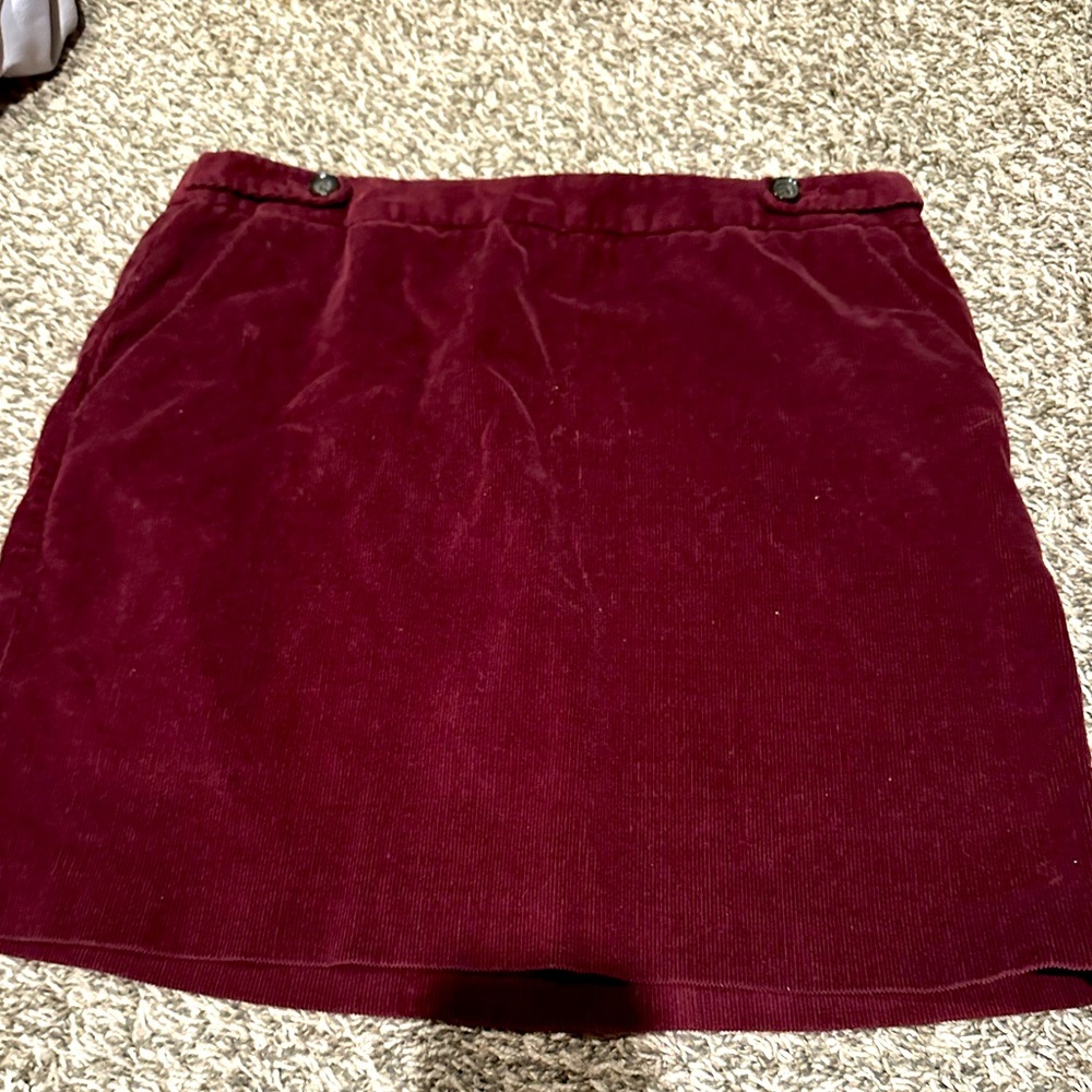 Banana Republic Skirt